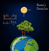 Image result for Newton Principle