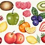 Image result for Tropical Fruit Cartoon