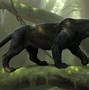 Image result for Black Panther Jungle