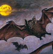 Image result for Vampire Bat Wallpaper