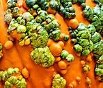 Image result for HPV vs Common Warts