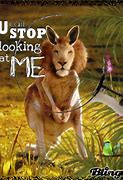 Image result for Keep Calm and Stop Looking at Me
