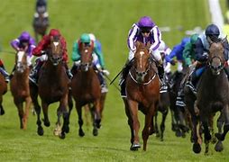 Image result for Horse Racing Sign Bets