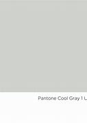 Image result for Pantone Cool Grey 1