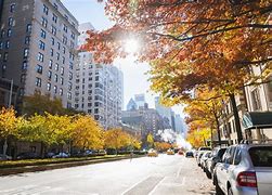 Image result for New York City Road