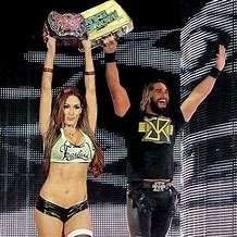 Image result for WWE Seth Rollins and Nikki Bella