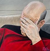 Image result for Jean-Luc Picard Facepalm