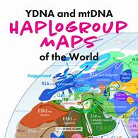 Image result for Haplogroup Map Rhode Island