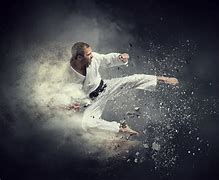 Image result for Martial Arts Boxing