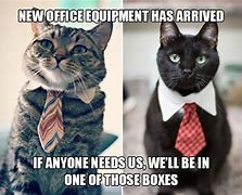 Image result for Funny Cat Boss Memes