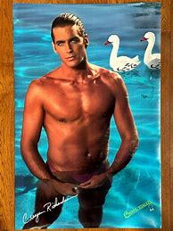 Image result for Chippendale Retro Posters