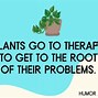 Image result for Funny Plant Signs