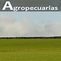 Image result for agropecuadio