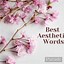 Image result for Fun Word Aesthetic