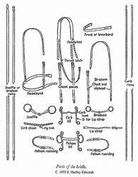 Image result for English Horse Bridle Parts