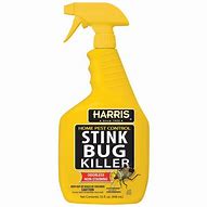 Image result for Stink Bug Spray