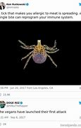 Image result for Funny Tick Memes