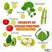 Image result for Vegetarian Protein Foods