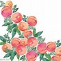 Image result for Pastel Pink Flowers Watercolor