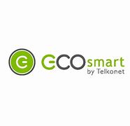 Image result for EcoSmart Logo