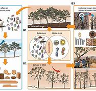 Image result for Abiotic Natural Resources
