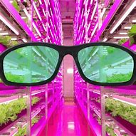 Image result for LED Indoor Planters