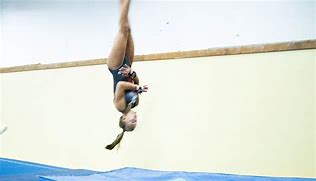 Image result for Aerial Gymnastics