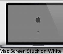 Image result for Apple Screen Goes White