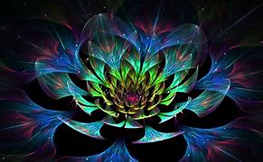 Image result for Lotus Flower 3D Wallpaper