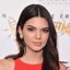Image result for Russian Kendall Jenner