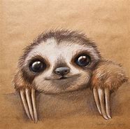 Image result for cute sloths draw real