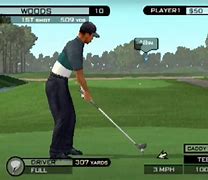 Image result for Tiger Woods PGA Tour 13 PC