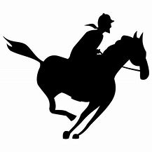 Image result for Horse Racing Stripes