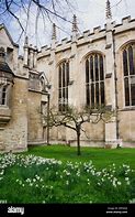 Image result for Apple Tree Cambridge