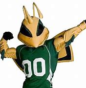 Image result for Sac State Mascot