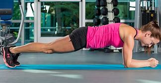 Image result for Plank Styles