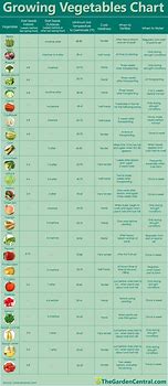 Image result for Printable Vegetable Calorie Chart