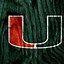 Image result for Miami Hurricanes Logo