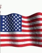 Image result for American Flag National Symbol