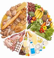 Image result for Vegan Diet History