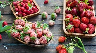 Image result for Strawberry Colour
