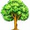 Image result for Cartoon Tree Clip Art Free