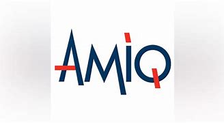 Image result for amiq