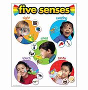 Image result for 5 Senses Chart for Kids