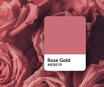 Image result for Golden Rose Color