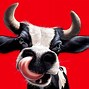 Image result for Funny Cow Movie