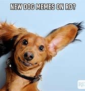 Image result for Pet That Dog Meme