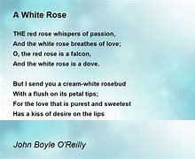 Image result for White Rose Poem