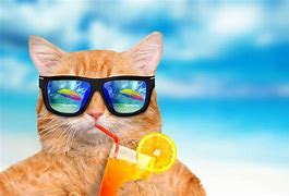 Image result for Fun Summer Beach Backgrounds