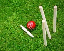 Image result for Cute Cricket Green Wallpaper